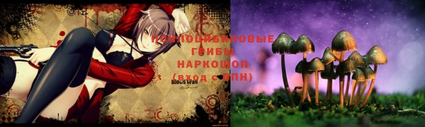 шишки Дмитров