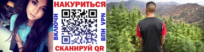 Купить закладки  Якутск  Конопля SATIVA & INDICA 